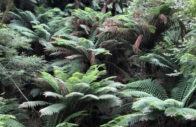 Corinna Wilderness Village - Foto 44