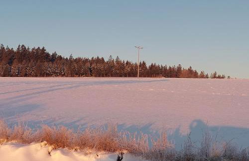 Wohlfühlapartments Zum Hackelstein - Foto 37