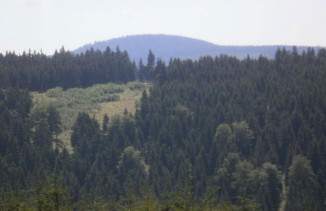 Cozy Ore Mountain Chalet - Foto 34