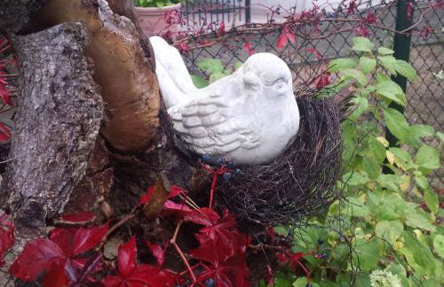 Holiday Home mit Garten- Grill und Terrasse by Interhome - Photo 26