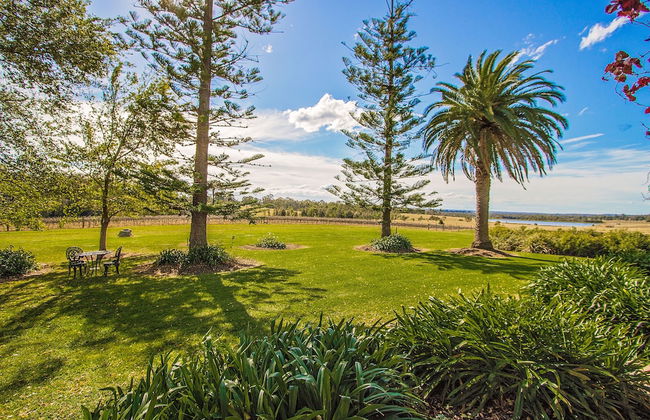 Cockfighters Ghost Vineyard - Foto 12