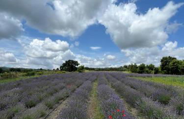 Casa laggiù - Foto 9