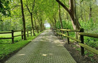 Ferienhof-Stoertebeker - Foto 13