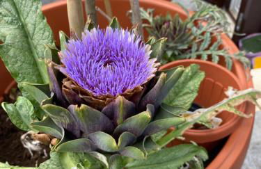 OFFICINALE Rome Apartment, Pineta Sacchetti - Foto 2