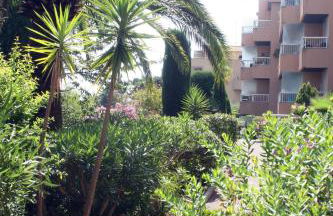 Studio Le Fabrina Riviera - Foto 4