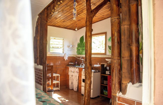 Gaia de Luz - Foto 2