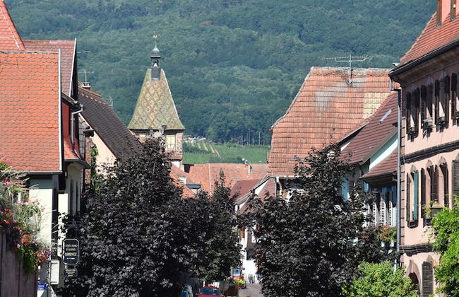 S'harzala Vert - Foto 12