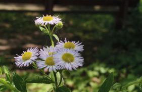 Domek PodMaglem - Foto 12