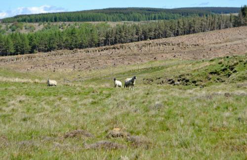 Spindle Well Barn - Photo 18