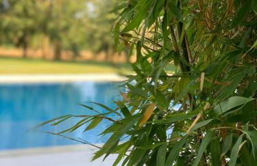 White Olive Villas - Foto 7