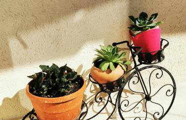 Comfort apartment with garage Aria - Foto 28