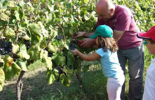 Agriturismo Parra - Foto 52
