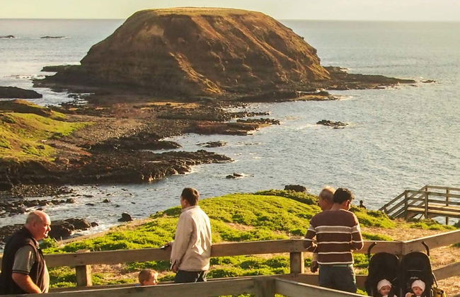 Complete Phillip Island Day Trip - Photo 6