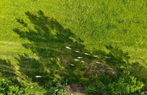 Dylewianka - Foto 44