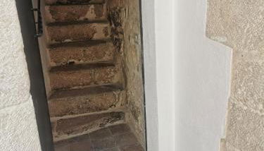 Stella Murgiana - Foto 5