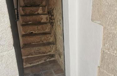 Stella Murgiana - Foto 5