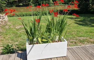 Domaine des Aulnaies - Beauval - Mareuil sur Cher - Foto 9