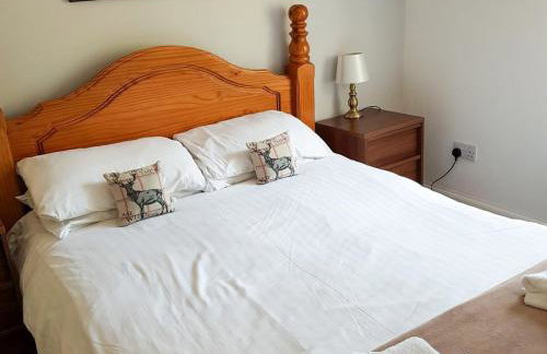 The Red Kite - Uk31003 - Foto 6