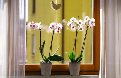 Ferienwohnung Refugium - Foto 16