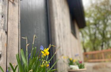 Glyndwr Way Cabin - Photo 17