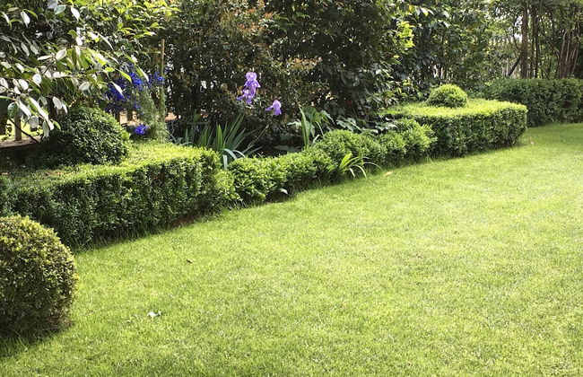 House & Garden - Foto 26