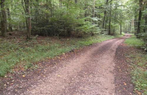 Holiday Apartment Anita Wald - Foto 39