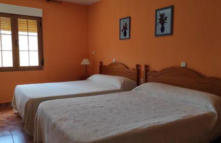 El encinar de las Hoces - Vivienda de uso turístico - Foto 14