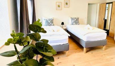 Schwarzwaldnest Donaueschingen - Foto 3