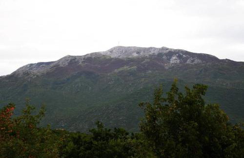 Malena - Foto 23