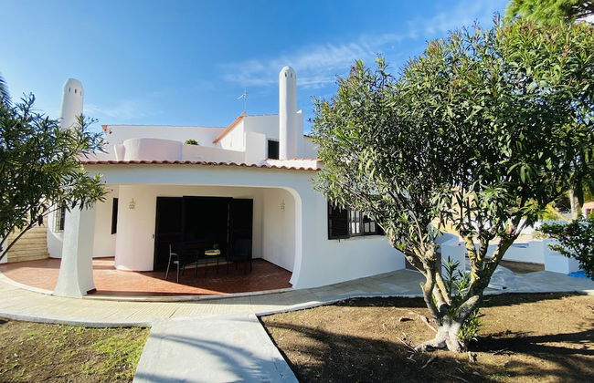 Azinheira CIP - Photo 52