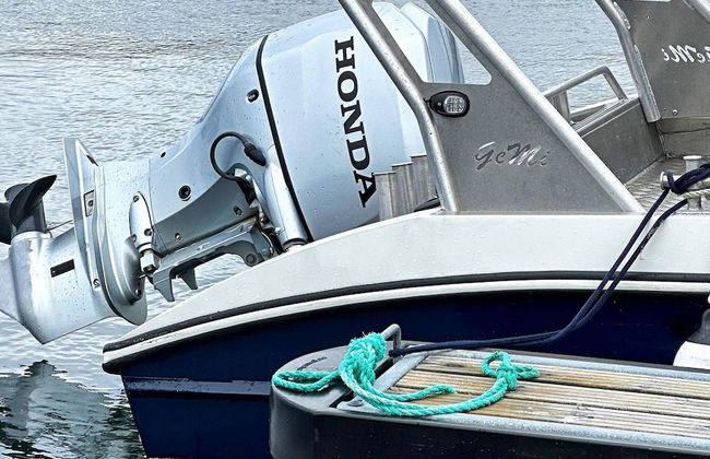 5 Person Holiday Home in Oksvoll - Foto 16