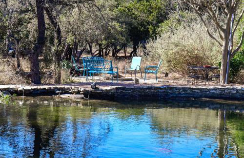 Serene Hill Country Wildlife Sanctuary with Porch - Photo 24