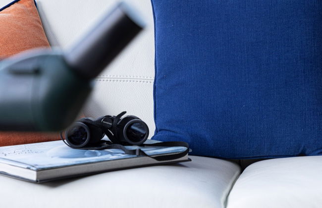 Homefield in Dartmouth - Foto 23