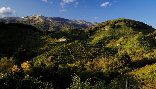 I giardini segreti di Villa Marcello Marinelli - Foto 4