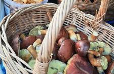 Jaśkowe Wzgórze domki na wynajem Szymbark, balia, Domek nr 2 i 3 - Foto 24