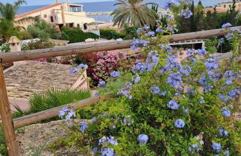 Passione Mare - Foto 45