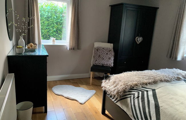 Erw Glas Glamping and Camping - Photo 47