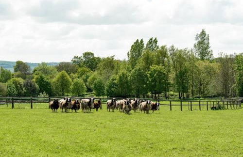 5 Bed in Sturminster Newton oc-76458 - Foto 27