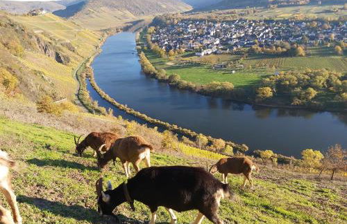 Ferienhaus am Flaumbach - Foto 30