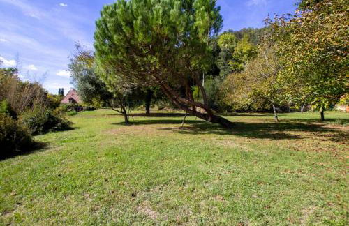 Les palmiers - Foto 2