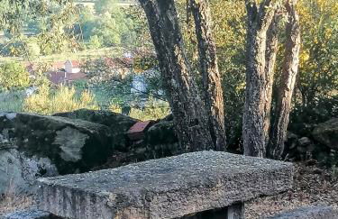 LÍRIOS DA GRANJA - CASA DE CAMPO - Foto 12