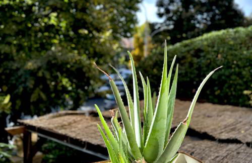 Aventino Flat - Foto 18