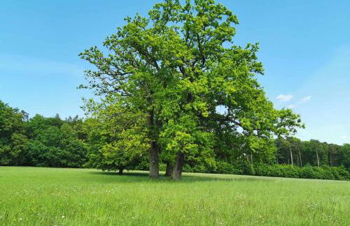 Ferienwohnung Rhön (Er) Leben - Foto 23