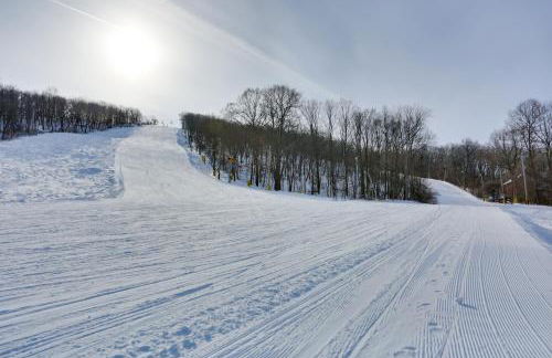 Ski-InandSki-Out! Mountain Creek Resort Condo - Foto 3