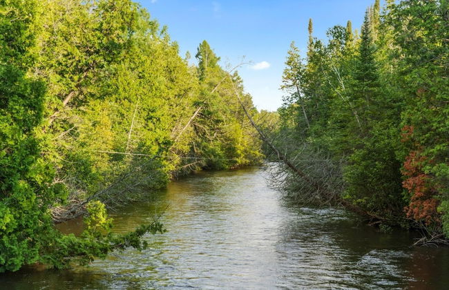 Firefly Lodge! Boardman River! Hot Tub! Woodstove! - Foto 19