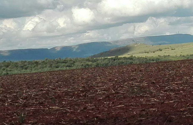 Woodland Gardens - Photo 74