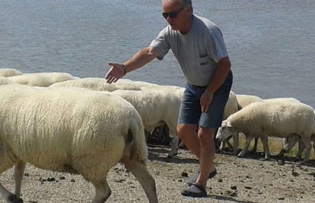 Villa Sonnenschein - Foto 26