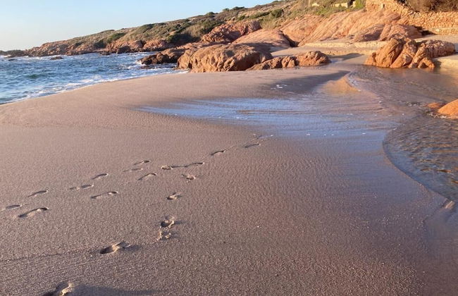 Casa I Corbezzoli - Paduledda - Isola Rossa - Foto 34