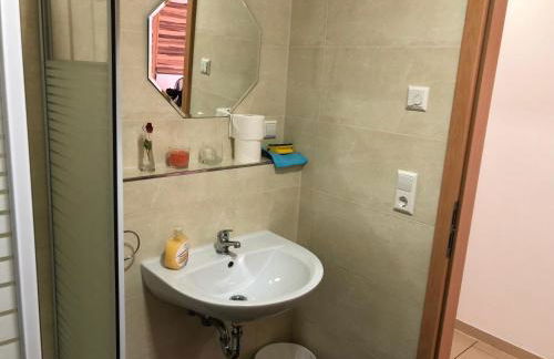 Sahara Falcon - Photo 160