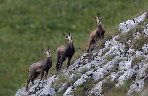 Studio tout confort - Foto 34